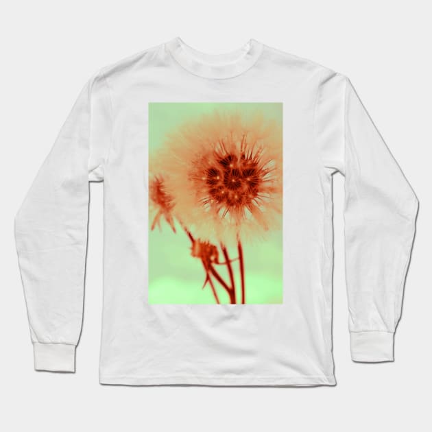 Dandelion II Long Sleeve T-Shirt by infloence